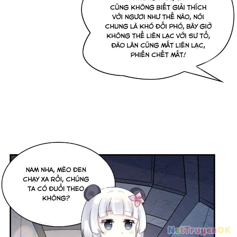 Các Nữ Đồ Đệ Của Ta Đều Là Chư Thiên Đại Lão Tương Lai Chapter 260 - Trang 4