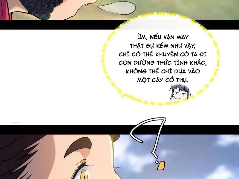 Ta Là Tà Đế Chapter 528 - Trang 4