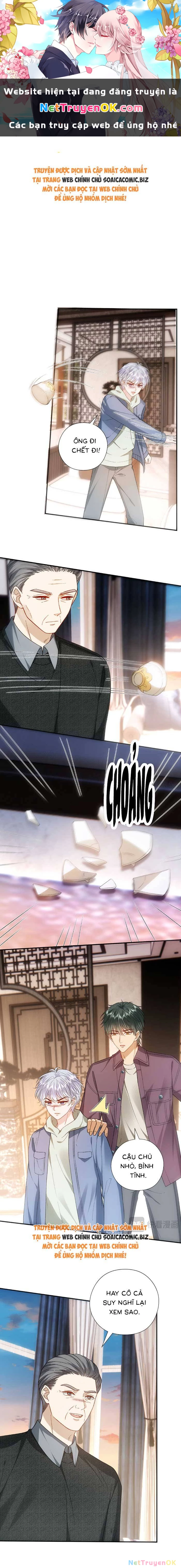 Vợ Của Lục Tổng Không Phải Dạng Vừa Chapter 174 - Trang 4