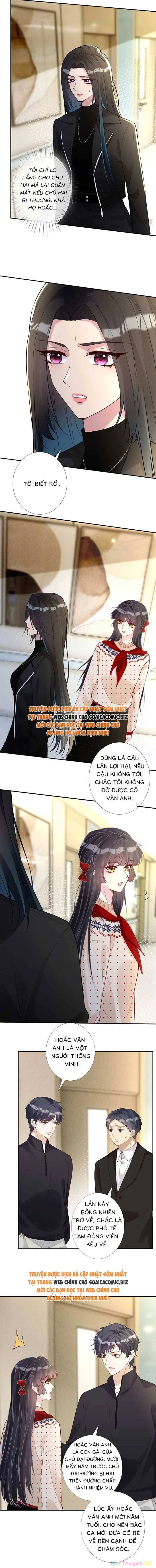 Ôm Khẩn Tiểu Mã Giáp Của Tôi Chapter 342 - Trang 4