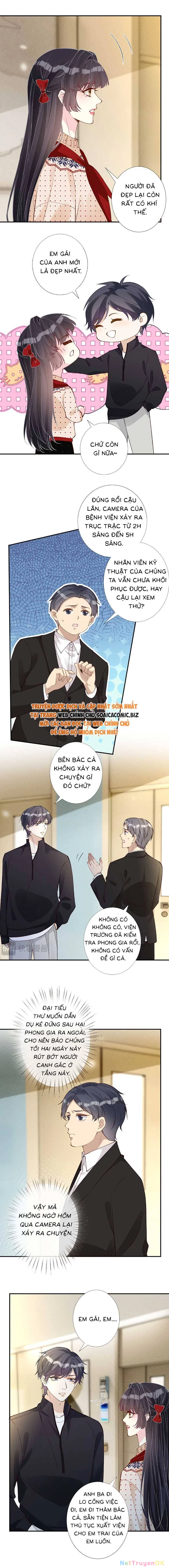 Ôm Khẩn Tiểu Mã Giáp Của Tôi Chapter 342 - Trang 4