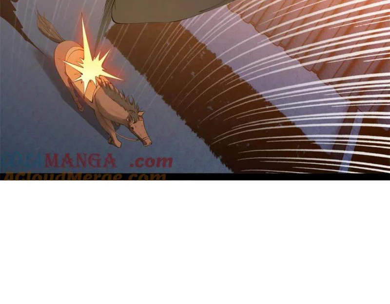 Chàng Rể Mạnh Nhất Lịch Sử Chapter 251 - Trang 4