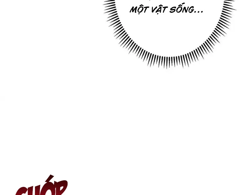 Chưởng Môn Khiêm Tốn Chút Chapter 446 - Trang 4