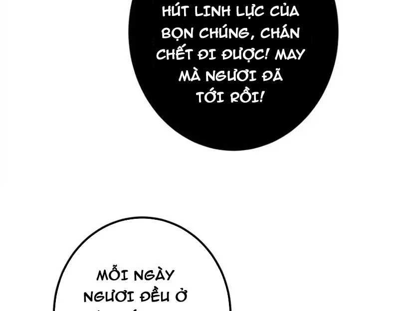 Chưởng Môn Khiêm Tốn Chút Chapter 446 - Trang 4