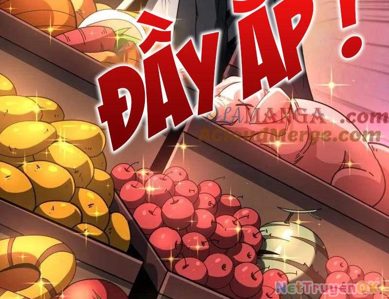 Vừa Chơi Đã Có Tài Khoản Vương Giả Chapter 496 - Trang 4