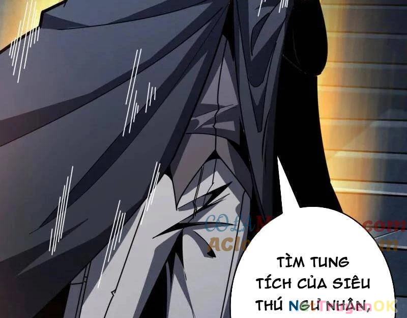 Vừa Chơi Đã Có Tài Khoản Vương Giả Chapter 496 - Trang 4