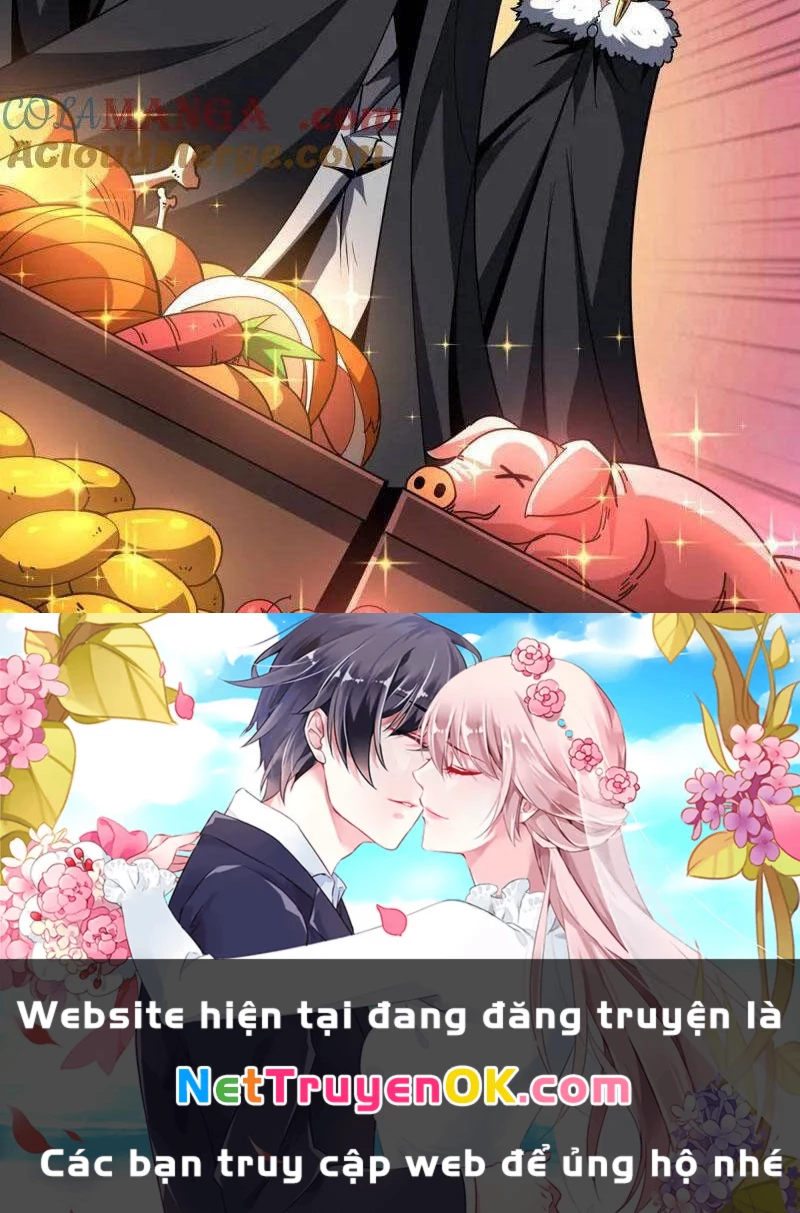 Vừa Chơi Đã Có Tài Khoản Vương Giả Chapter 496 - Trang 4