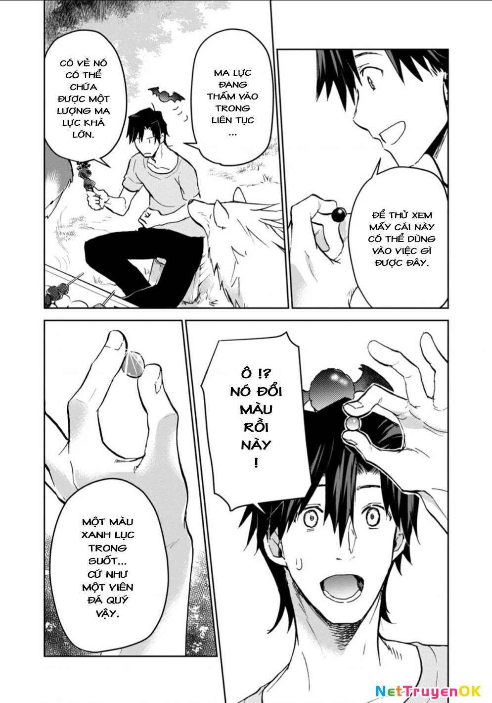 Isekai Ni Otosaretara... Jouka Wa Kihon! - Rơi Vào Dị Giới, Tôi Chủ Yếu Đi Thanh Tẩy! Chapter 13 - Trang 2