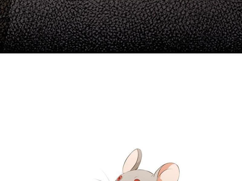 Hoá Ra Ta Đã Vô Địch Từ Lâu Chapter 215 - Trang 4