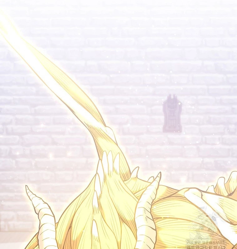 Tái Thiết Hầm Ngục Chapter 220 - Trang 4