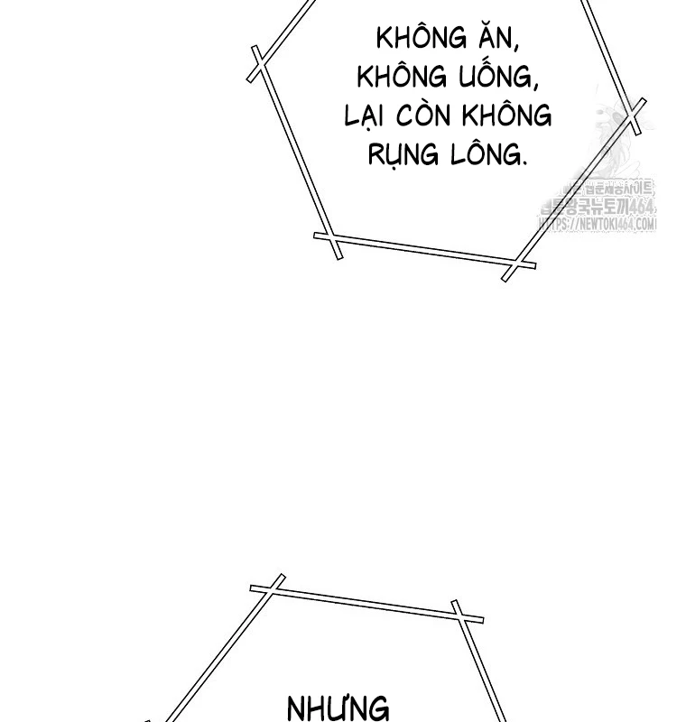 Tái Thiết Hầm Ngục Chapter 221 - Next Chapter 222
