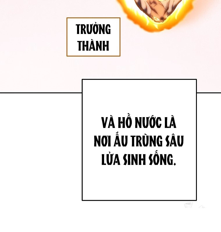 Tái Thiết Hầm Ngục Chapter 224 - Trang 2
