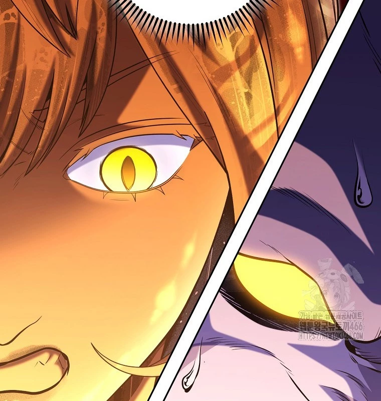 Tái Thiết Hầm Ngục Chapter 226 - Trang 4