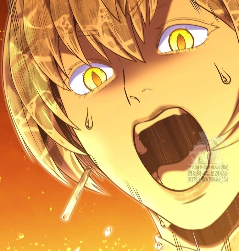 Tái Thiết Hầm Ngục Chapter 227 - Trang 4