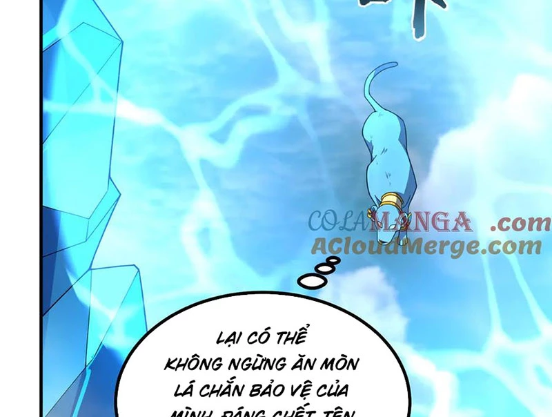 Thần Sủng Tiến Hóa Chapter 366 - Trang 4