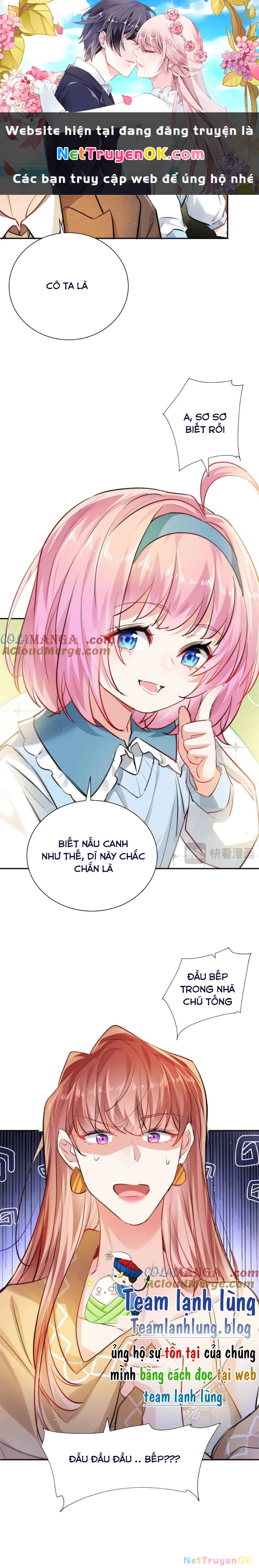 Tiểu Bảo Bối Đặc Biệt Của Tổng Tài Lạnh Lùng Chapter 30 - Trang 3