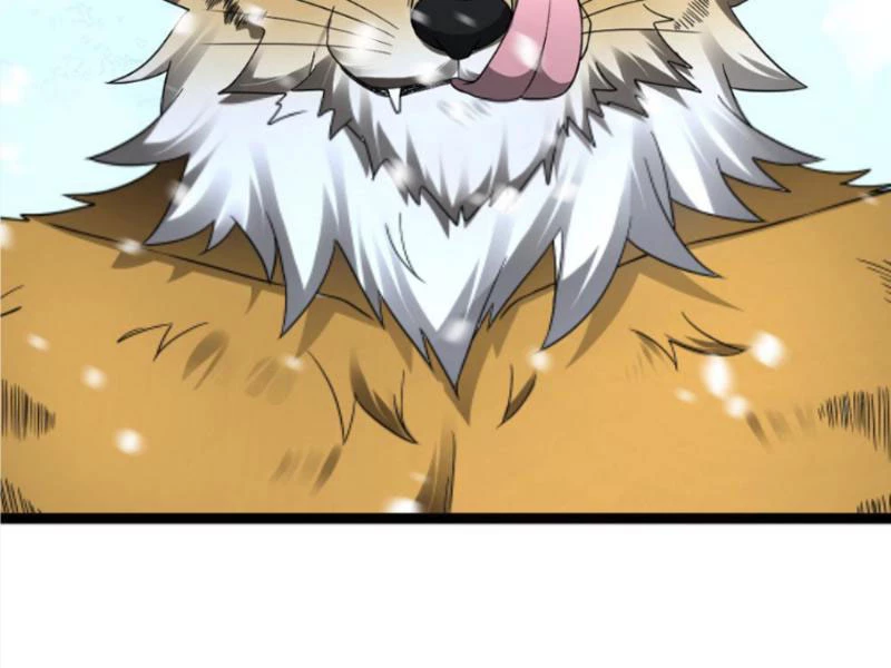 Toàn Cầu Băng Phong: Ta Chế Tạo Phòng An Toàn Tại Tận Thế Chapter 531 - Trang 4