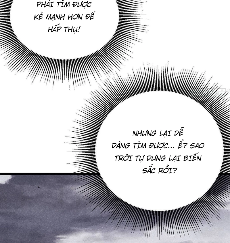 Vạn Cổ Tối Cường Tông Chapter 381 - Trang 4