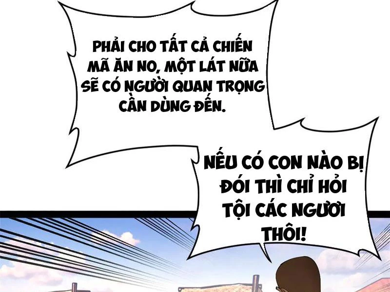 Chàng Rể Mạnh Nhất Lịch Sử Chapter 253 - Trang 4