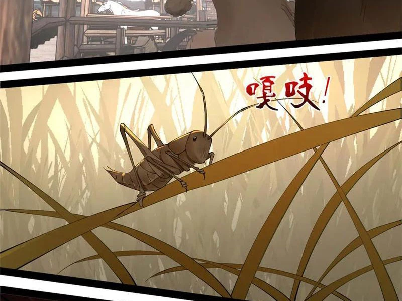 Chàng Rể Mạnh Nhất Lịch Sử Chapter 253 - Trang 4