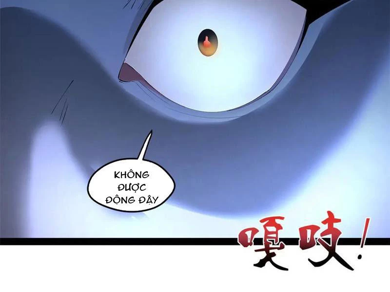 Chàng Rể Mạnh Nhất Lịch Sử Chapter 253 - Trang 4