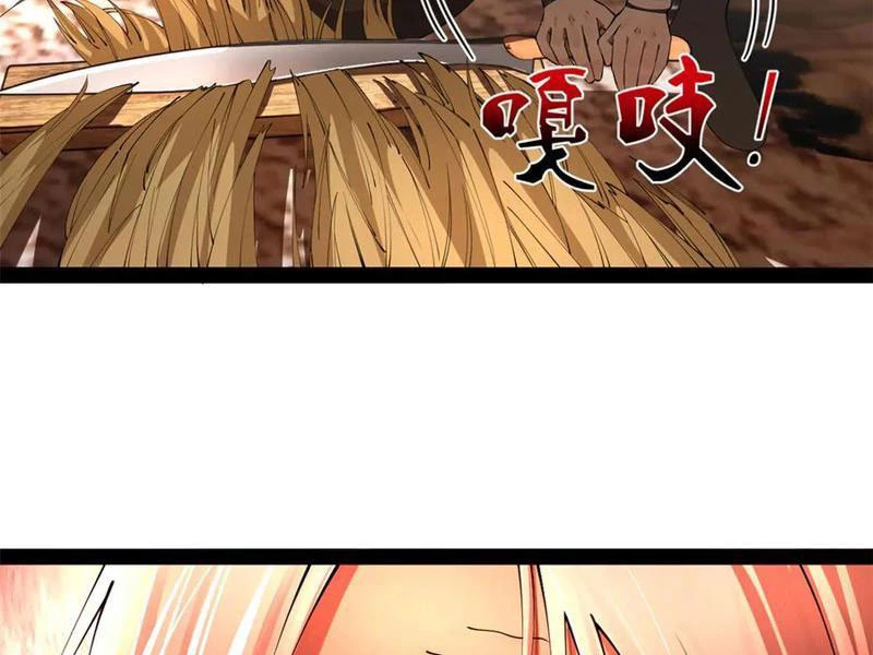 Chàng Rể Mạnh Nhất Lịch Sử Chapter 253 - Trang 4