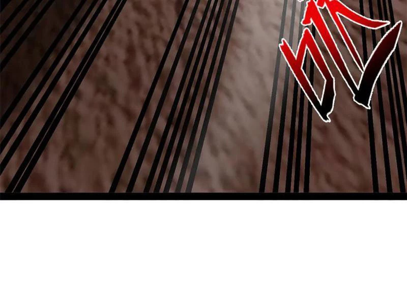 Chàng Rể Mạnh Nhất Lịch Sử Chapter 253 - Trang 4