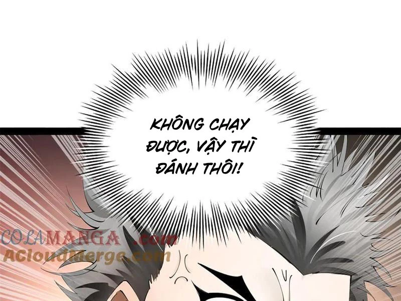 Chàng Rể Mạnh Nhất Lịch Sử Chapter 253 - Trang 4