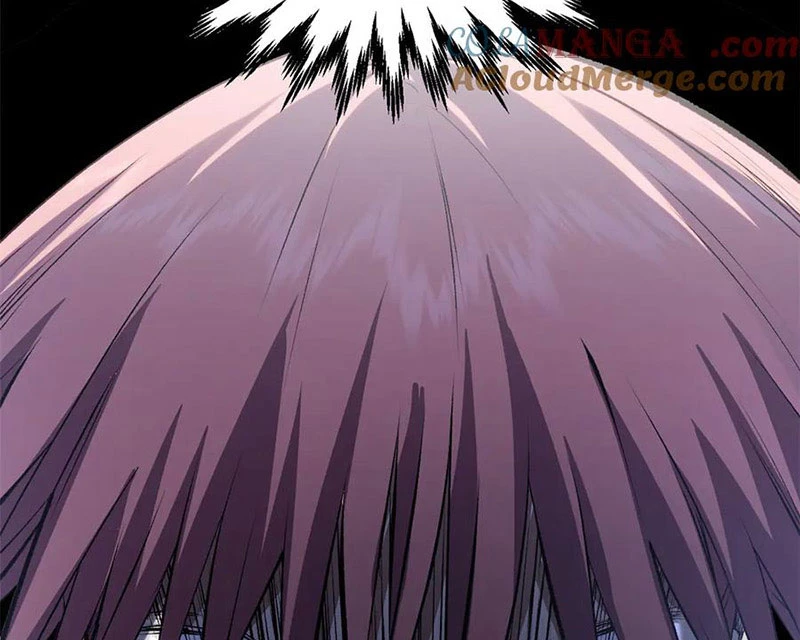 Đỉnh Cấp Khí Vận, Lặng Lẽ Tu Luyện Ngàn Năm Chapter 195 - Trang 2