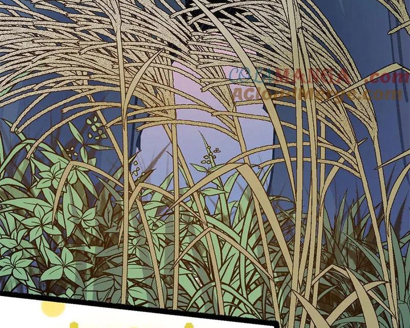 Đỉnh Cấp Khí Vận, Lặng Lẽ Tu Luyện Ngàn Năm Chapter 195 - Trang 2