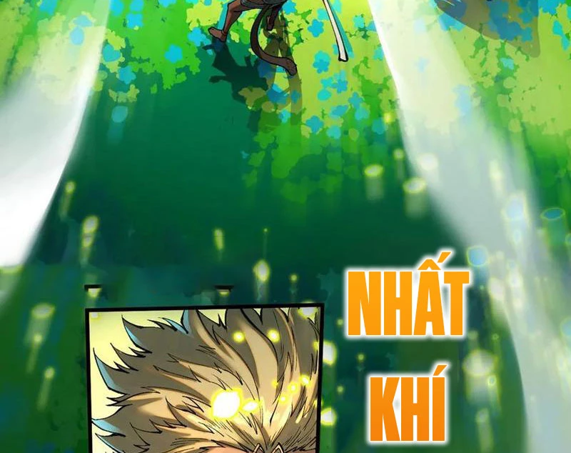 Vạn Cổ Chí Tôn Chapter 374 - Next Chapter 375