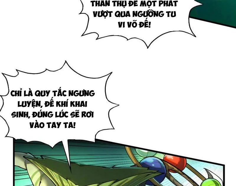 Vạn Cổ Chí Tôn Chapter 374 - Next Chapter 375