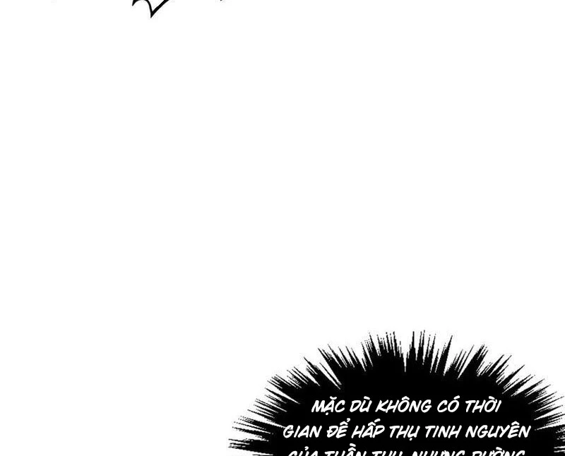 Vạn Cổ Chí Tôn Chapter 374 - Next Chapter 375