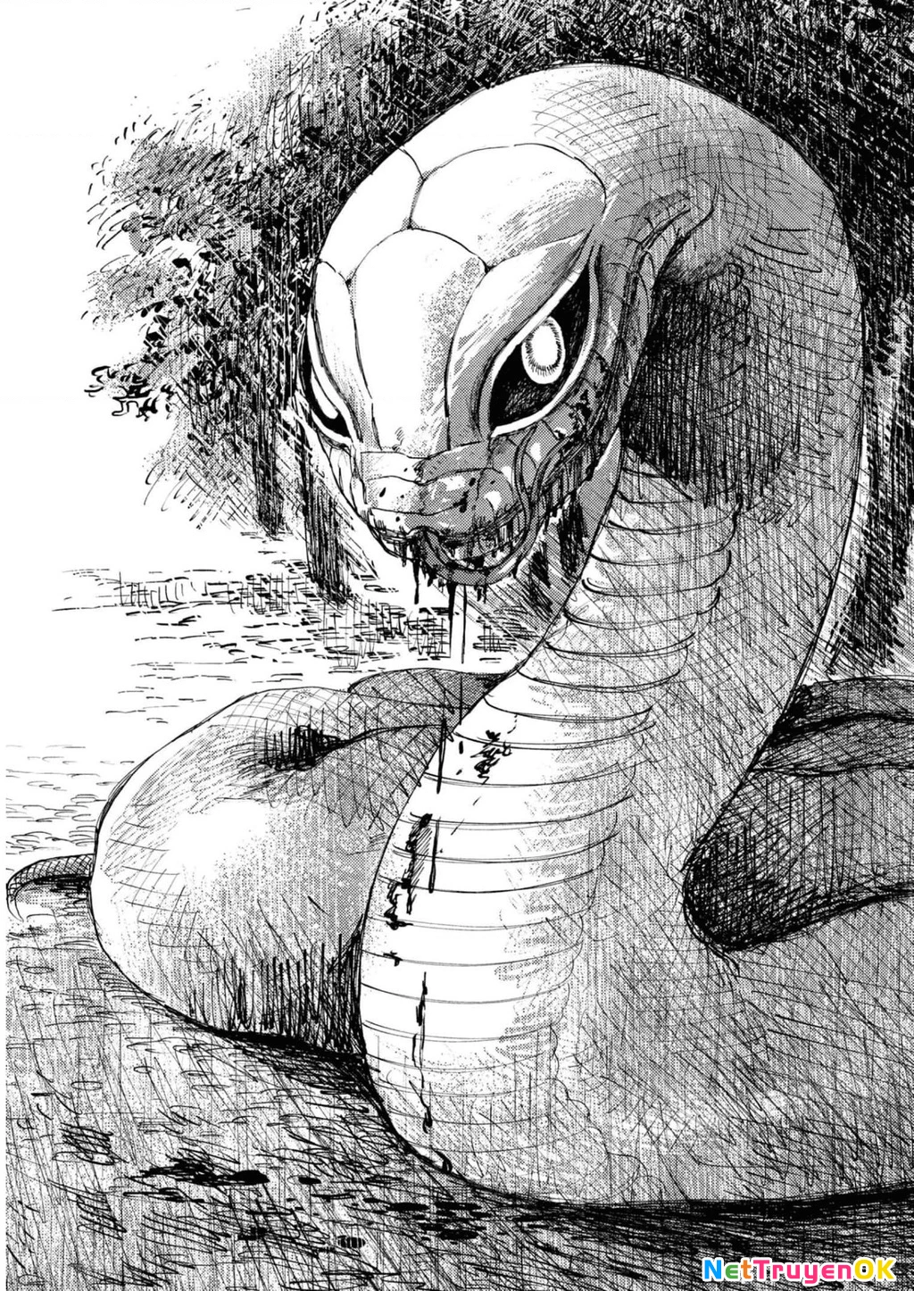 Đại xà tân nương Chapter 18 - Trang 2