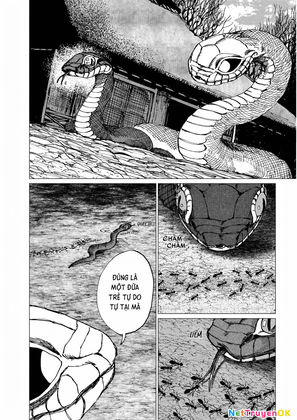 Đại xà tân nương Chapter 22 - Trang 2