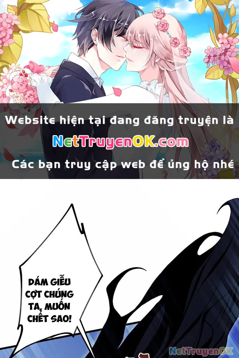 Hoá Ra Ta Đã Vô Địch Từ Lâu Chapter 218 - Trang 4