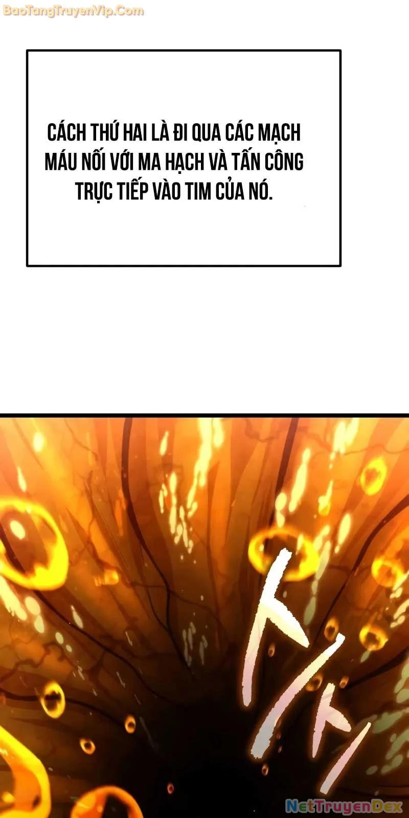 Chiến Binh Hồi Quy Chapter 60 - Trang 4