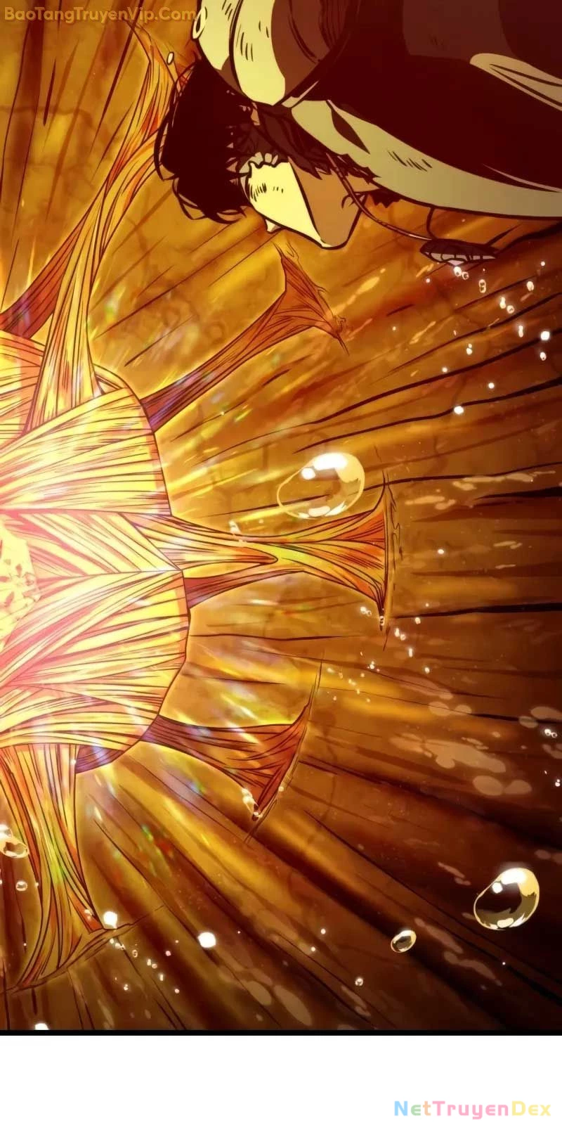 Chiến Binh Hồi Quy Chapter 60 - Trang 4