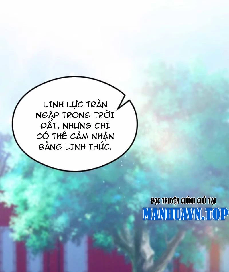 Ảo Ma! Ta Mở Lớp Huấn Luyện Nữ Đế! Chapter 21 - Trang 3