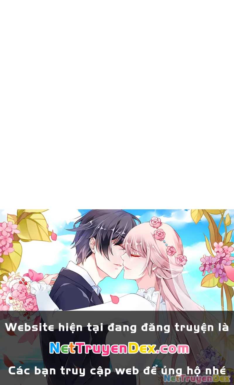 Sự Trở Lại Của Anh Hùng Diệt Thế Chapter 135 - Trang 4