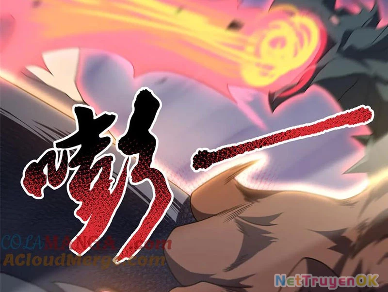 Thần Sủng Tiến Hóa Chapter 368 - Trang 4