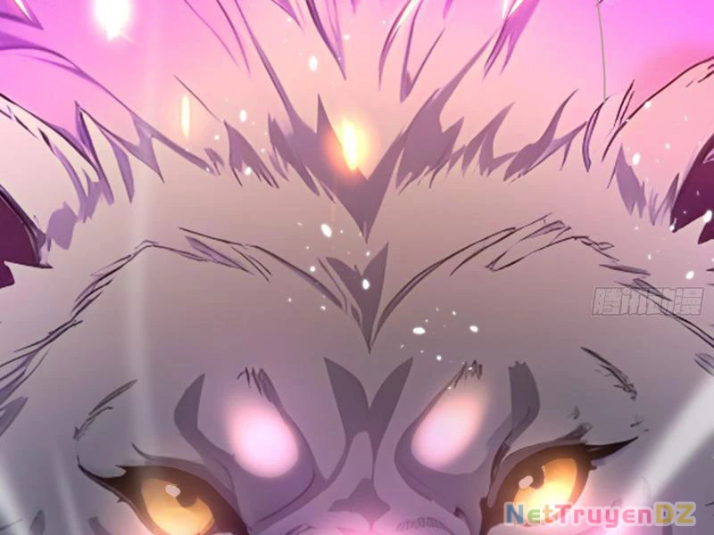 Đệ Nhất Ngự Thú Sư Chapter 1 - Trang 3