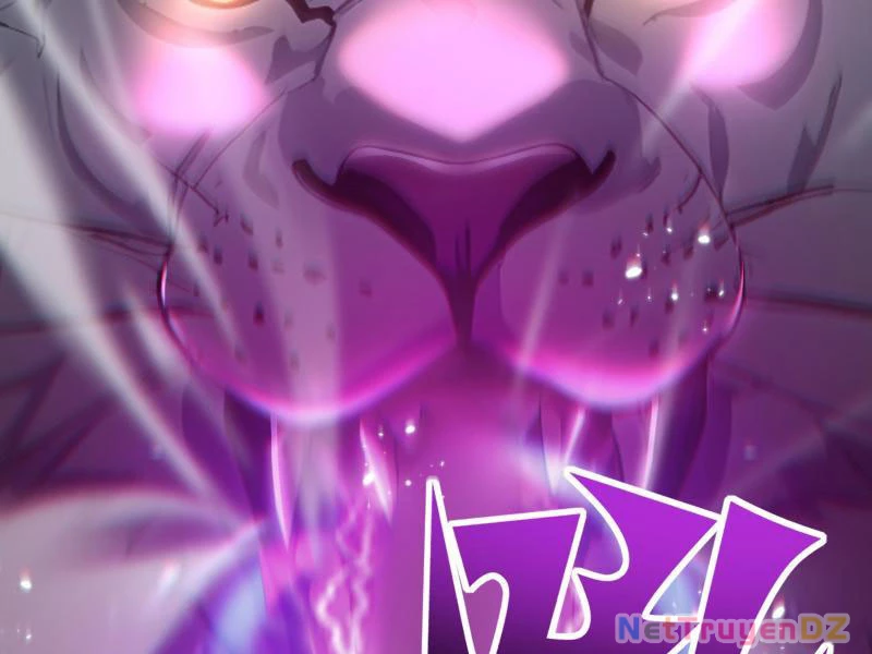 Đệ Nhất Ngự Thú Sư Chapter 1 - Trang 3