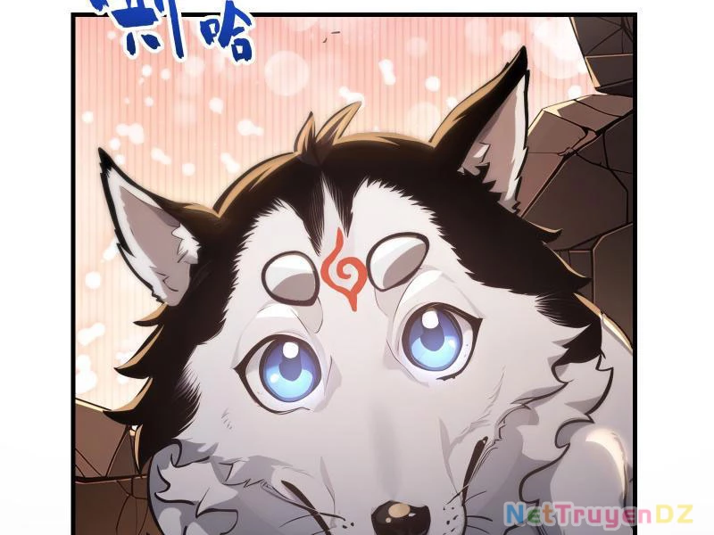 Đệ Nhất Ngự Thú Sư Chapter 1 - Trang 3