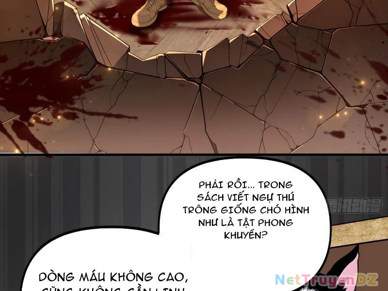 Đệ Nhất Ngự Thú Sư Chapter 1 - Trang 3