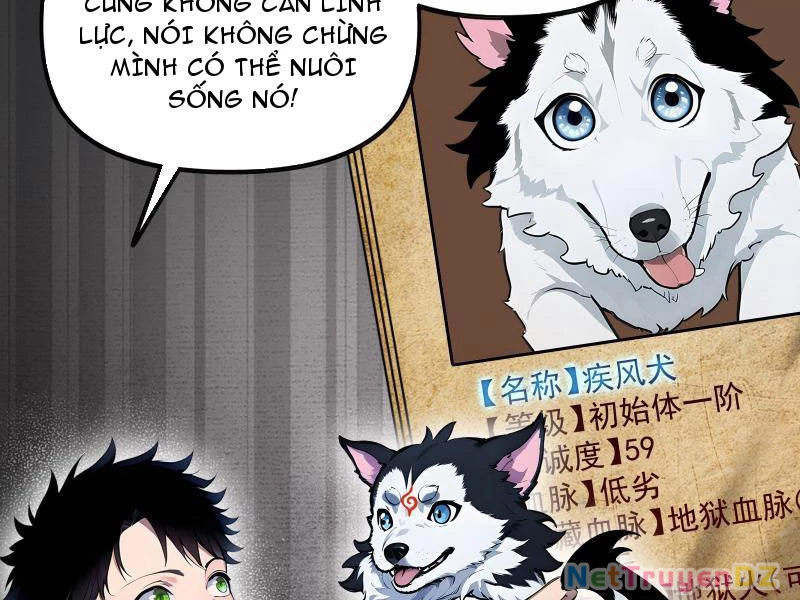 Đệ Nhất Ngự Thú Sư Chapter 1 - Trang 3