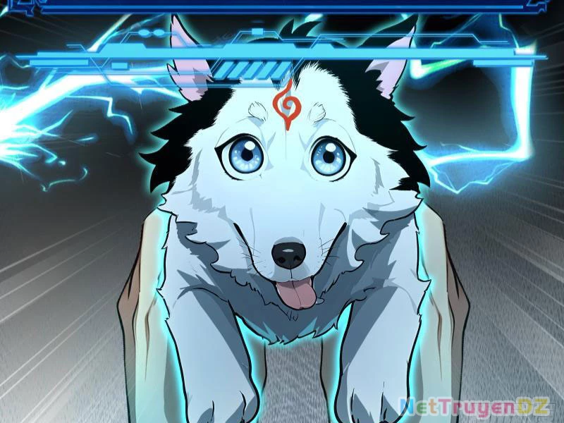 Đệ Nhất Ngự Thú Sư Chapter 1 - Trang 3