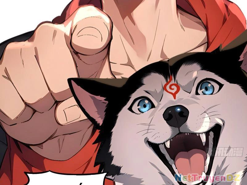 Đệ Nhất Ngự Thú Sư Chapter 1 - Trang 3