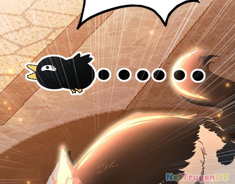 Đệ Nhất Ngự Thú Sư Chapter 3 - Trang 3