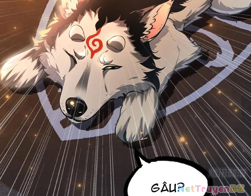 Đệ Nhất Ngự Thú Sư Chapter 3 - Trang 3